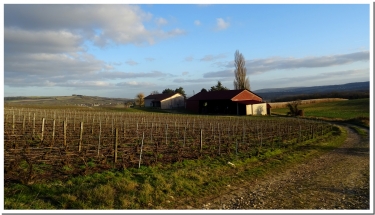 PROUILLY - LA CHUTE DES EAUX-marne