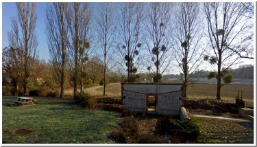 BALADE EN VAL DE LIVRE-marne