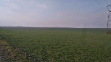 ST MEMMIE - BOIS DU BAUCHET-marne