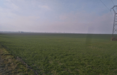 ST MEMMIE - BOIS DU BAUCHET-marne