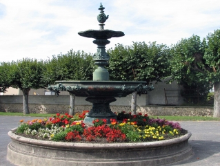 MONTIGNY-SUR-VESLE - BOIS DU GOULOT-marne