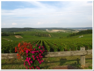 CHAMPILLON - MUTIGNY-marne