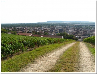 CHAMPILLON - MUTIGNY-marne