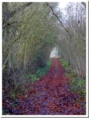 LA MONTAGNE DE PERLES ET LE RUISSEAU DU MOULIN-marne