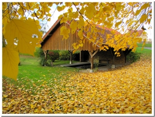 LES SOURCES DE L ARDRE-marne