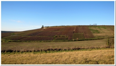 LES EGLISES ROMANES DE LA VALLEE DE L ARDRE-marne