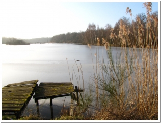 SITE FOSSOYE DU CHATEAU DE VERNAY-marne