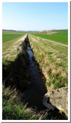 LES SOURCES DU ROUILLAT-marne