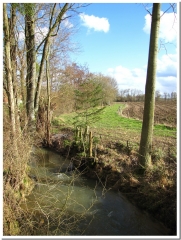 LA VALLEE DE L ARDRE ET LE DOMAINE DE COMMETREUIL-marne