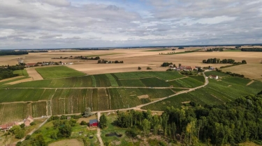 SENTIER PEDESTRE DES COTEAUX ET PATRIMOINE DE BAYE-marne