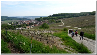LES PATIS DE FLEURY-marne