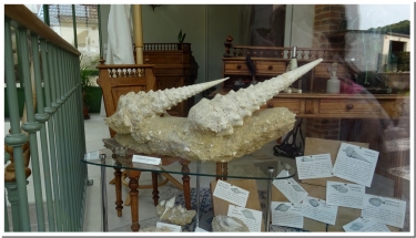 LES PATIS DE FLEURY-marne