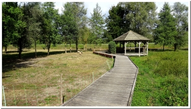 LE MONT BERNON-marne