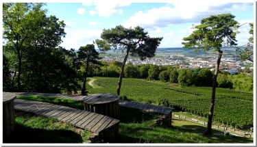 LE MONT BERNON-marne
