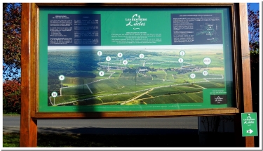 montagne-de-reims - LES SENTIERS VITICOLES DE LUDES