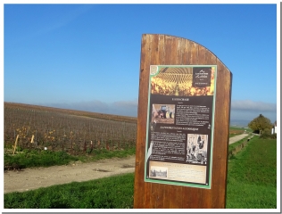 LES SENTIERS VITICOLES DE LUDES-marne