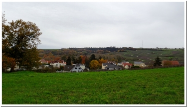 AUTOUR DU GRAND MARAIS DU VIVIER-marne