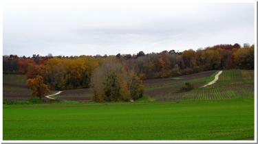 AUTOUR DU GRAND MARAIS DU VIVIER-marne