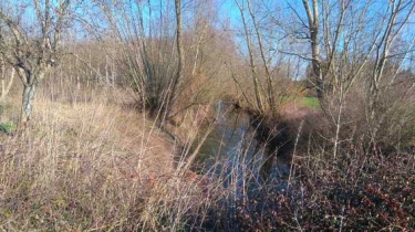 NUISEMENT-SUR-COOLE - VALLEE DE LA COOLE-marne