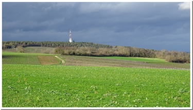 LES MONTS COUPES-marne