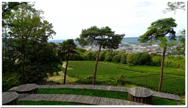 DE L AVENUE DE CHAMPAGNE AU MONT BERNON-marne