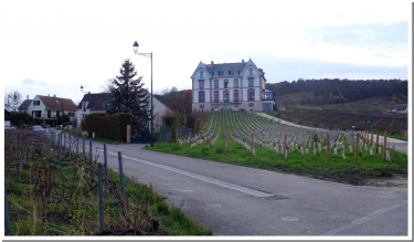 LA GARENNE D ECUEIL ET LE CHATEAU DE SACY-marne