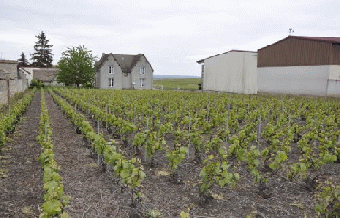 VILLERS-MARMERY-marne