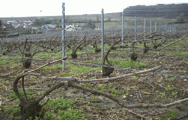 VILLERS-MARMERY-marne