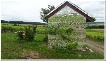 ENTRE LIVRE ET GERMAINE-marne