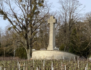 BALADE AUTOUR DE CHENAY, MERFY ET POUILLON-marne