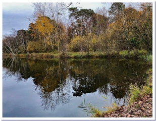 BALADE AUTOUR DE CHENAY, MERFY ET POUILLON-marne