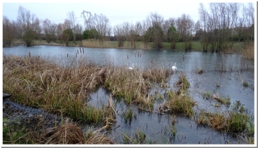 LES SOURCES DE LA MUIRE-marne