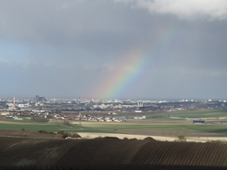 LE BASSIN DU ROUILLAT-marne