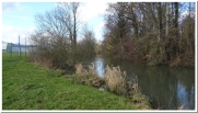 LA VOIE VERTE ET LES BORDS DE LA SUIPPE-marne