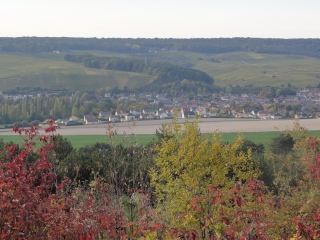 AVENAY-VAL-D OR-marne