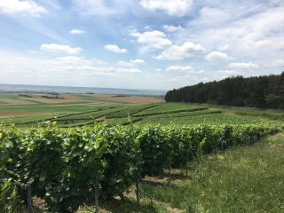 NOGENT-L ABBESSE - MONT DE BERRU RETOUR VIA L EGLISE DE BERRU-marne