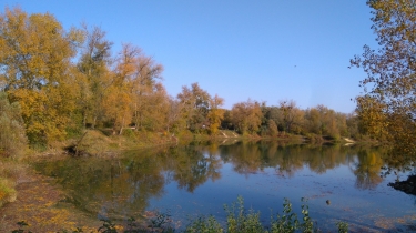 CHALONS-EN-CHAMPAGNE - ETANGS ST HUBERT - MARNE-marne