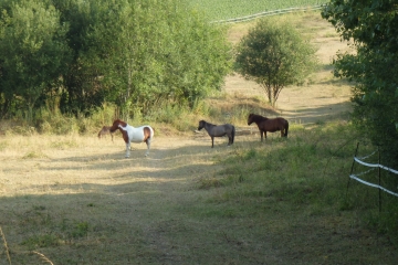 DE SACY A COURMAS-marne