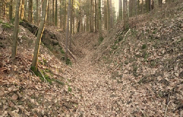 GR14 - PARTIE 2-marne