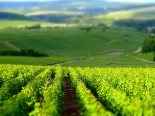 MUTIGNY - LA MALMAISON - LA NEUVILLE EN BEAUVOIR-marne