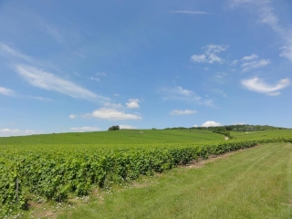 NOGENT-L ABBESSE - AVEC POINTS DE VUE SUR LA MONTAGNE DE REIMS-marne