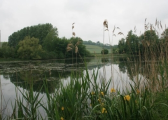 COURVILLE  ET SES ETANGS-marne