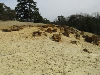 LES SABLIERES ET L ETANG DE CHENAY-marne