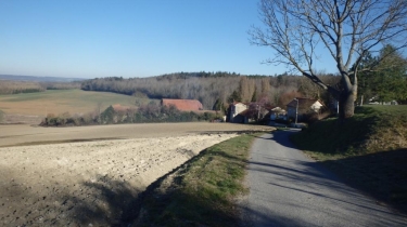 BOUCLE DE CORMICY VERS CHALONS LE VERGEUR-marne