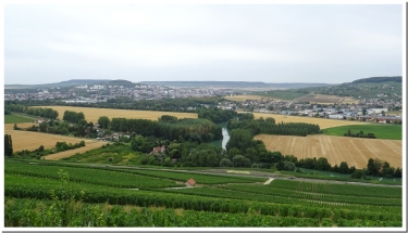 LE BOIS DE SAINT-MARC-marne