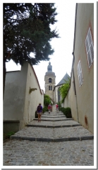 LE BOIS DE SAINT-MARC-marne