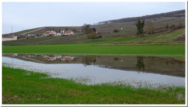 LES COTEAUX DE REUIL A VENTEUIL-marne