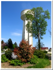 LE RUISSEAU DE BRUNET-marne