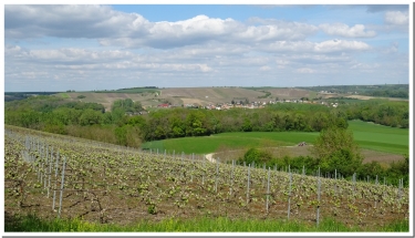 LA BALADE DE MAURICE JONOT-marne