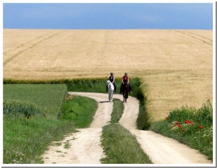 LE RUISSEAU D EPOYE-marne
